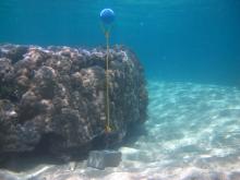 Mer Island - Temperature logger