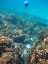 Mer Island - Temperature logger