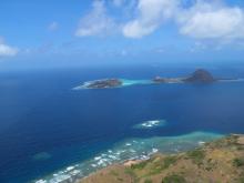 Dowar Island - Aerial view