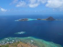 Dowar Island - Aerial view