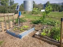JCU Community garden auto-irrigation system