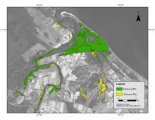Map of tidal wetlands (mangroves and salmarsh) around Kolan River