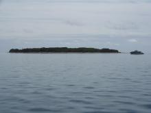 Lady Musgrave Island