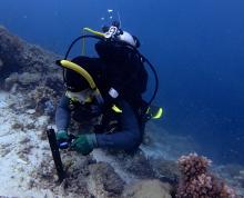 AIMS diver installs  Temperature logger installation on the slope of Lagoon Reef