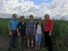 Members from CSIRO and JCU meet with Lawrence Di Bella from Herbert Cane Productivity Services Limited (HCPSL).