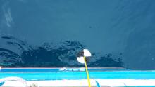 A Secchi disc being lowered into clear water