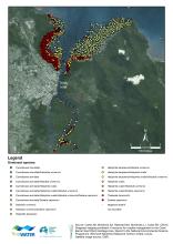 Map of dominant seagrass species in Cairns area