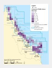 Commercial TRAWL Fishing Effort (# of days fished) within GBR fishing grids in 2013.