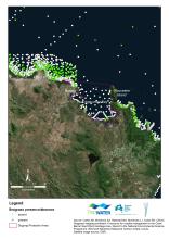 Map of seagrass around Edgecumbe Bay Dugong Protection Area