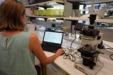 Examining the suspended particulate matter in flood plume water samples under the microscope