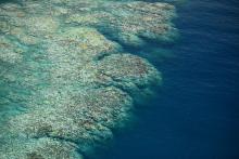 2017 coral bleaching from the air