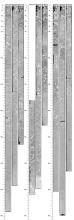X-ray computed tomography from the Keppel Islands