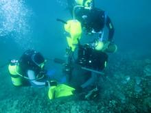 Extraction of coral core