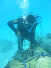 Coral drilling at Sudbury Reef