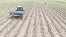 Stool split fertilizer applicators applying N fertilizer in a ratoon cane block in the Burdekin