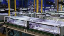 Large Scale experiments at the SeaSim