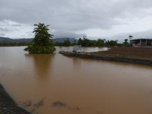 Peak flood height at 'Project 25' Mirriwinni real-time water quality monitoring station.