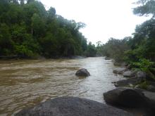 Upstream view of peak flood flows in the Russell River at the Project 25 'Golden Hole' monitoring point.