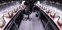 Experiments on seagrass in an Australian Institute of Marine Science's laboratory, Townsville