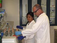 Sampling herbicides following the degradation experiment, Australian Institute of Marine Science, Townsville