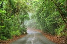 Impact of roads in the Wet Tropics World Heritage Area (WTWHA)