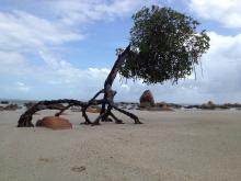 Kanthanumpu land and sea country in the Lockhart River region.