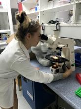 Marie Thomas counts red algae cells for testing herbicide toxicity