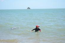 Sampling for Irukandji using an Irukandji sampling net at Palm Cove. Regular sampling is undertaken over the North Queensland summer.
