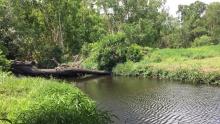 Sandy Creek