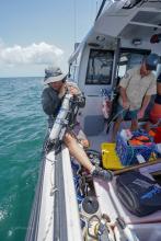 Cast of the Seabird CTD in a flood plume to profile the influence of the flood waters in the water column