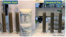 Sediment caught in traps from Middle Reef and Cleveland Bay