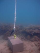Booby Island - Torres Strait Temperature Logger (Slope Logger: BOOBYSL1)