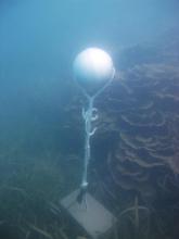 Moa Island - Kubin - Torres Strait Temperature Logger (Slope Logger: KUBINSL1)