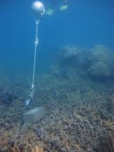Warraber Island - Torres Strait Temperature Logger (Slope Logger: WARRABERSL1)