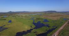 Tedlands freshwater ponded pasture