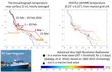 Detecting marine heatwaves
