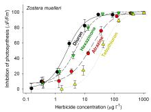 Toxicity of four herbicides to the seagrass Zostera muelleri