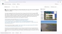 Video tutorial for viewing the shoreline imagery 