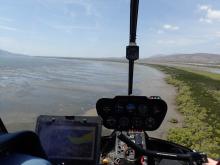 Seagrass meadow monitoring using helicopter-based survey methods