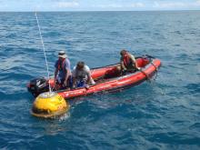 Recovering wave buoy at Cape Cleveland