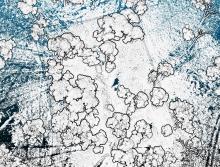 Riegl scan of a gully