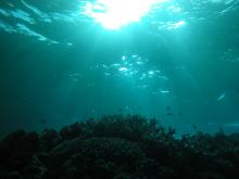 Sunlight shining through water to illuminate Ben Reef