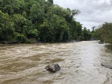 Peak flooding at Russell River (Golden Hole) sampling site.