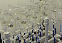 Experimental system for conducting toxicity assessments of contaminants/mixtures on larval stage of tropical marine organisms