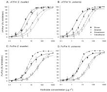 Concentration-response curves for two seagrasses species and four herbicides.