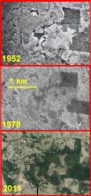 Wet Tropics uplands regrowth over 59 years, Tarzali region