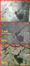 Wet Tropics uplands regrowth over 68 years, Malanda region