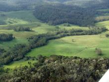 Carbon Farming Initiative (CFI) project opportunity