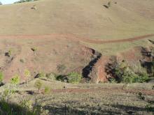 Degraded landscapes could be restored in Far North Queensland