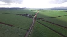 Far North Queensland cane fields aerial shot